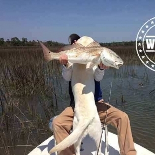 Redfish and the dog