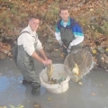 Véletlenül meglógott több mázsányi hal a tatai Öreg-tóból