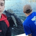Horgászoktól kért segítséget egy bálna