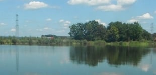 Carp dream lake