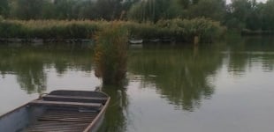 Pogányi tó