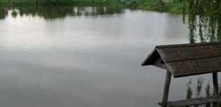 Bocska horgásztó / pisztrángos tó