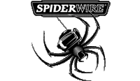 SpiderWire zsinórok