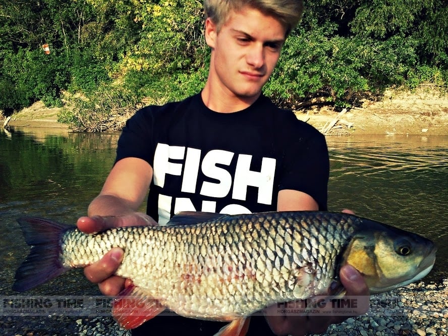 FISH ING TIME! (44cm)