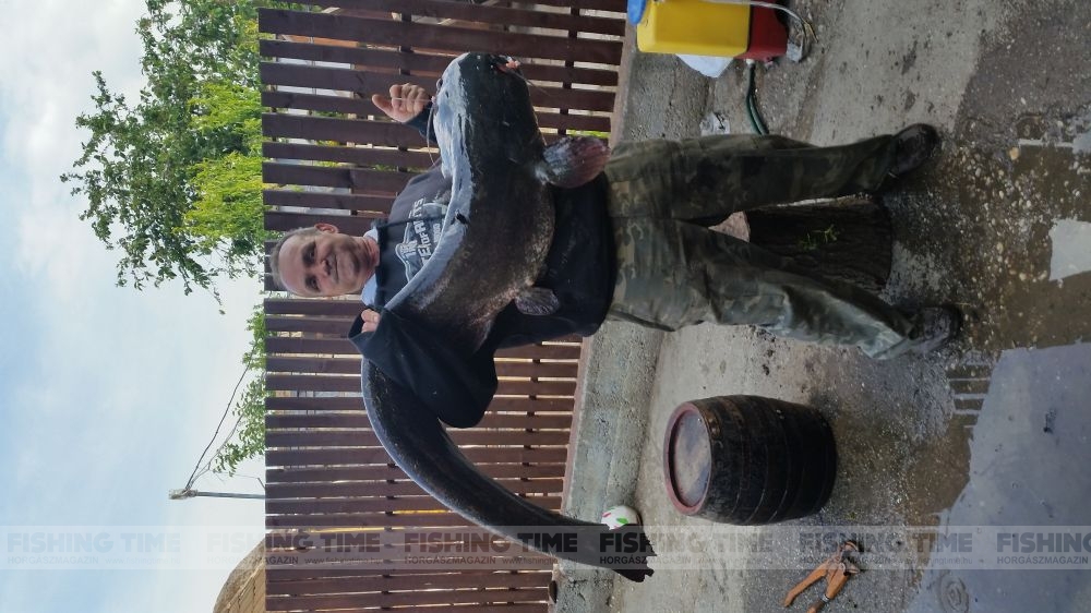 Bodrog folyó 25 kg, 152 cm Csoma Tibor, édesapám fogása 