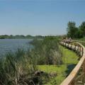 Fazekas Sándor: 6,6 milliárd forintból újul meg a Tisza-tó vízrendszere