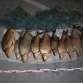 Vádemelési javaslat az orvhalászok ellen