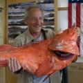 Kétszáz éves halat fogott a horgász