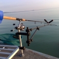 Megszűnt a halászat, felfutóban a horgászat a Balatonon