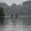 Lassan kezdődik a küszívás a Tisza-tón