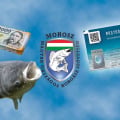 A MOHOSZ közleménye a jövő évi okmányok áráról, a horgászkártyáról, a halelviteli korlátozásokról és egyéb tervekről