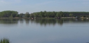 Őzetanya bojlis tó