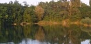 Erdőkertesi pisztrángos tó
