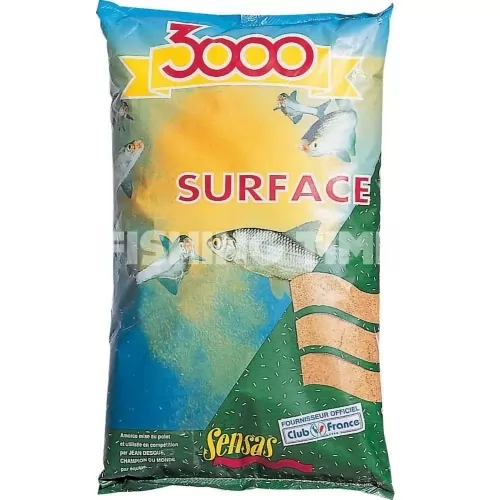 3000 Surface