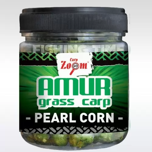 Amur Pearl Corn amur gyöngykukorica